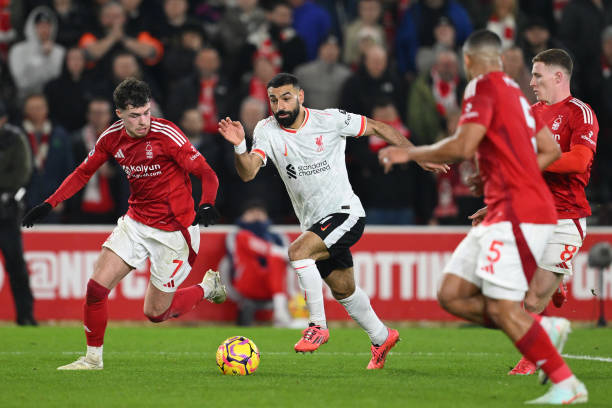 塔费在其官 塔费在其官