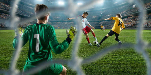 与到更多的 与到更多的