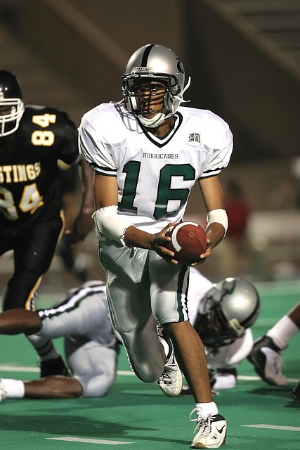 使队徽上绽 使队徽上绽